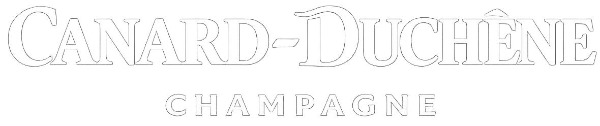 agence marketing digital cd