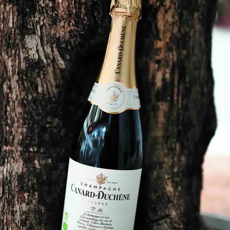 agence marketing digital canard duchene