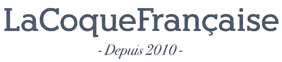 agence marketing digital lcf