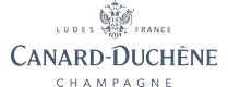 agence seo vannes canard duchene
